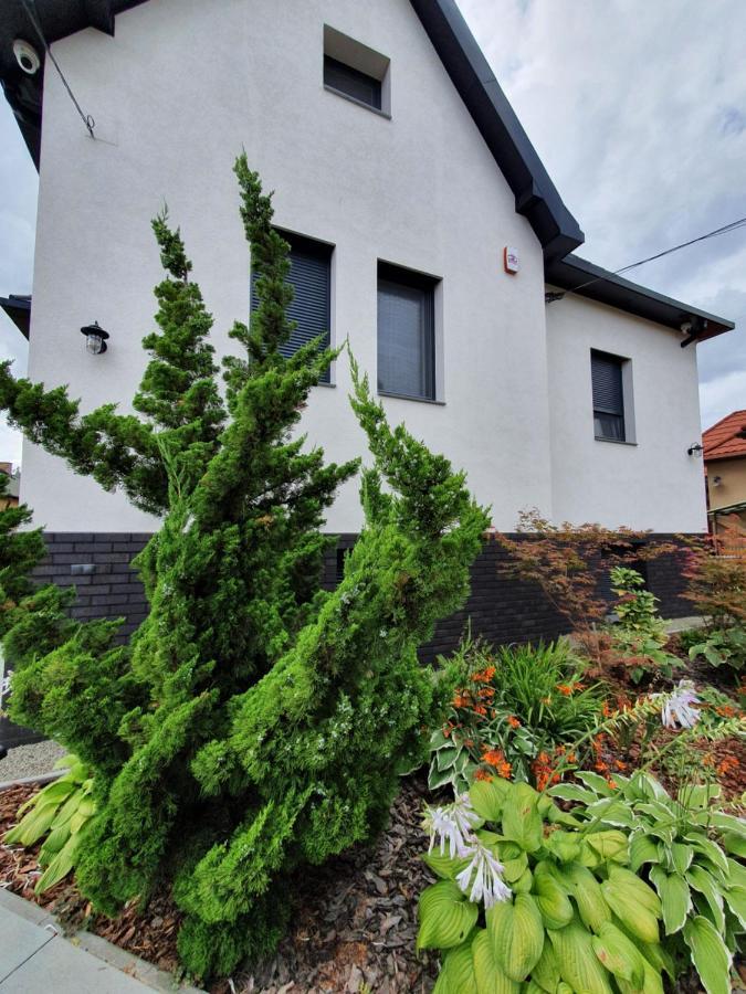 Tweed House Villa Будапеща Екстериор снимка